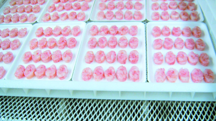 ��׼����Ч������ʽ�ٶ�װ�ã�������