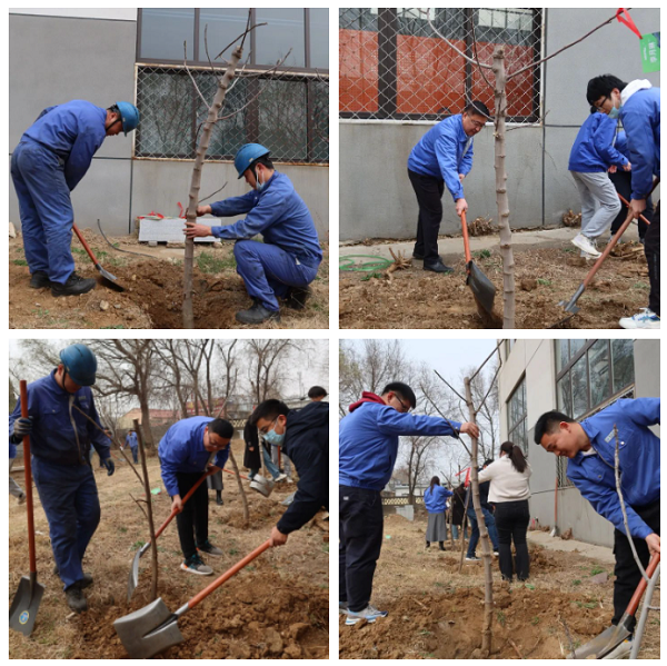 z6com������-(�й�)��˾�ٷ���վ