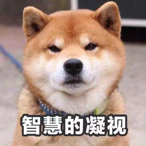 Ϊʲô˵ů²22(ͼ6)
